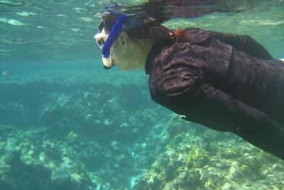 Snorkeling Tour in San Andres Snorkeling Tour in San Andres