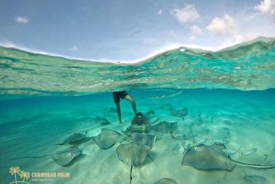 Special Snorkel Tour Special Snorkel Tour
