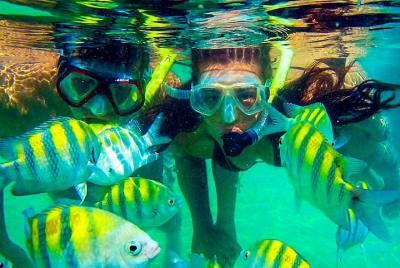 Day trip to the shell Bay and snorkel