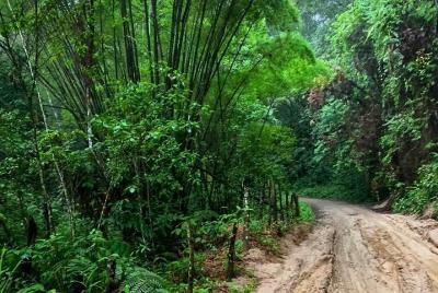 Minca - Coffee y Cocoa