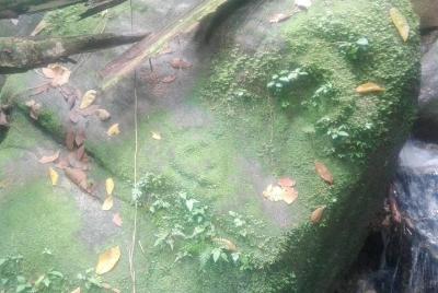 Lost jewel, Tour 1 day Sierra nevada de santa marta. only relics 