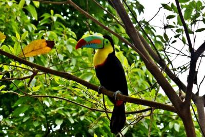 2 hours hiking to gorgeous waterfalls in Minca