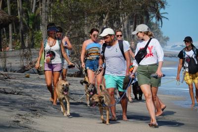 Doggy Picnic on the Beach and River