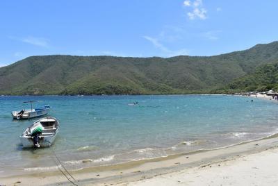 Private Day Trip to Bahia Concha beach