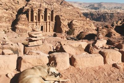 Cruise Ship Travelers | Petra and Wadi Rum | Admission Fees & Lunch Included Cruise Ship Travelers | Petra and Wadi Rum | Admission Fees & Lunch Included