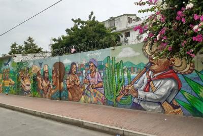 Graffiti Tour in Santa Marta Old City