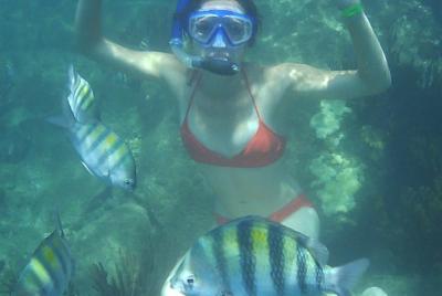 Taganga snorkeling experience