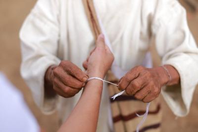 Insurance in Palomino