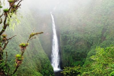 Arenal Volcano Experience Full-Day Tour from San Jose Arenal Volcano Experience Full-Day Tour from San Jose