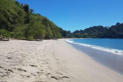Manuel Antonio National Park; Beach & Sightseeing Day Trip from S Manuel Antonio National Park; Beach & Sightseeing Day Trip from S