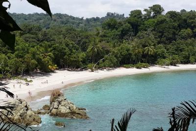 Manuel Antonio National Park Sightseeing and Wildlife Day Tour fr Manuel Antonio National Park Sightseeing and Wildlife Day Tour fr