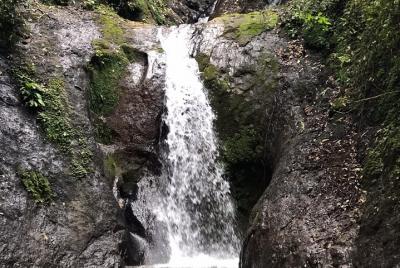 Sightseeingss in Alajuela Things to do in Alajuela 182442