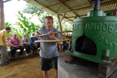 Costa Rican Farm Experience in La Fortuna Costa Rican Farm Experience in La Fortuna