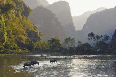 Tour Hoa Lu and Tam Coc- small group tour max 9 clients