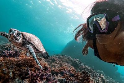 Snorkeling Tour in Caño Island with Lunch Snorkeling Tour in Caño Island with Lunch