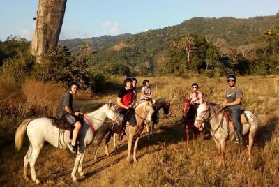 Jaco Beach Costa Rica Horseback Riding Jaco Beach Costa Rica Horseback Riding