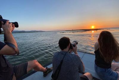 Private Birdwatching and Nature Photography in Puntarenas Private Birdwatching and Nature Photography in Puntarenas