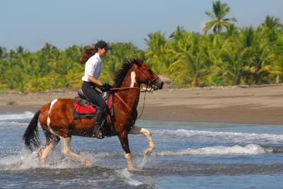 Personalized Beach Adventure Near Jaco Personalized Beach Adventure Near Jaco