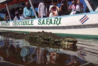 Crocodile Safari Crocodile Safari