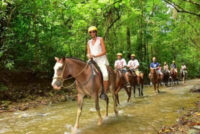 Jaco Beach & Los Suenos Horseback & Waterfall Adventure 