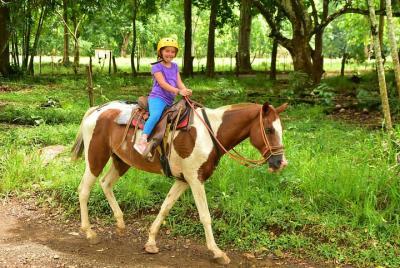 Horseback Riding and Natural Swimming Pools / Jacó Beach Horseback Riding and Natural Swimming Pools / Jacó Beach