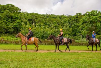 Horseback Riding and Waterfall in Jacó Horseback Riding and Waterfall in Jacó