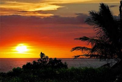 Rainforest Costa Rica Sunset Tour Rainforest Costa Rica Sunset Tour