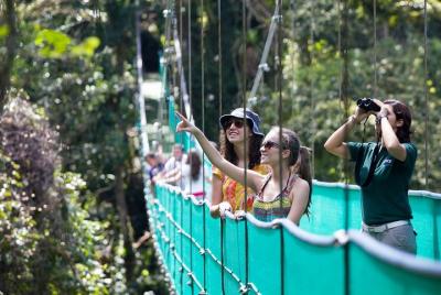 Sky Walk with Tour Guide From Arenal Sky Walk with Tour Guide From Arenal