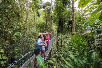 Mistico Park Hanging Bridges Guided Tour Mistico Park Hanging Bridges Guided Tour