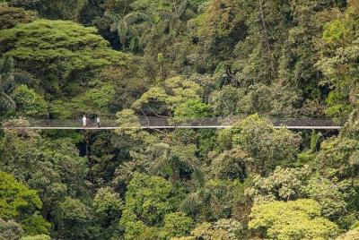 Arenal Hanging Bridges / Guided Walk Arenal Hanging Bridges / Guided Walk