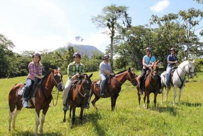 Arenal Wilberth Stable Arenal Wilberth Stable