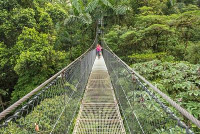 Hanging Bridges Walk in Arenal Volcano Hanging Bridges Walk in Arenal Volcano