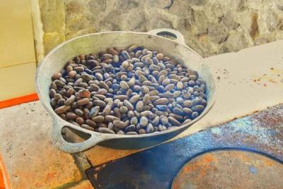 Private Cacao Harvesting Experience with Chocolate Workshop
