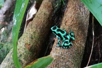 Night Tour Night Tour