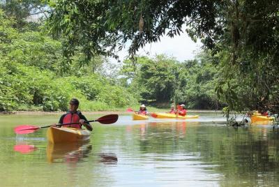 Kayak Safari