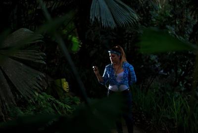 Night tour experience in Arenal Night tour experience in Arenal