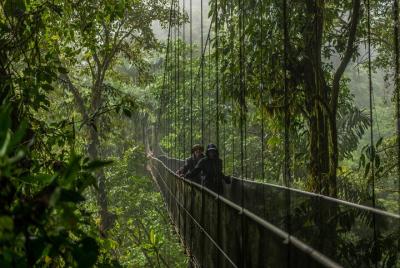 Arenal Selfguide: Mistico Hanging Bridges, La Fortuna Waterfall & Arenal Selfguide: Mistico Hanging Bridges, La Fortuna Waterfall &