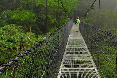 2-in-1 Arenal Combo Tour: Hanging Bridges + La Fortuna Waterfall 2-in-1 Arenal Combo Tour: Hanging Bridges + La Fortuna Waterfall