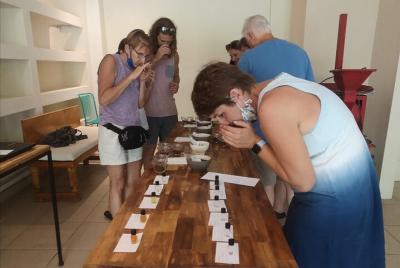 Costa Rica coffee tasting-train your palate. Costa Rica coffee tasting-train your palate.