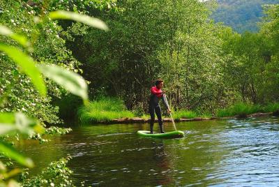 Half paddle Half paddle