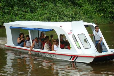 Tortuguero Canal Eco Cruise and Banana Plantation Shore Excursion
