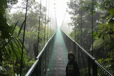 Treetop Hanging Bridges Tour through the Cloud Forest Treetop Hanging Bridges Tour through the Cloud Forest