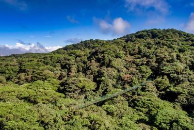 Hanging Bridges & Tour Guide From Monteverde Hanging Bridges & Tour Guide From Monteverde