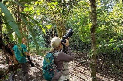 Full Morning Birdwatching Tour (Private Service) Full Morning Birdwatching Tour (Private Service)