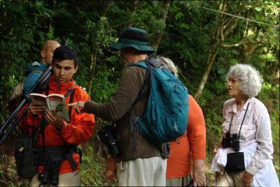 Birdwatching Tour in Monteverde at 6 AM with Entrance Fees and Breakfast  Birdwatching Tour in Monteverde at 6 AM with Entrance Fees and Breakfast
