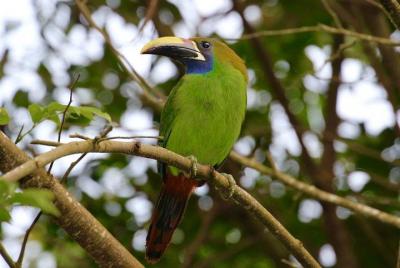 Nature tour with Esteban daily guided tours. Nature tour with Esteban daily guided tours.