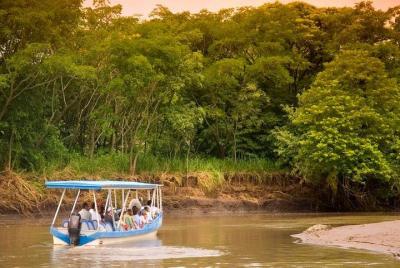 Palo Verde Wildlife Tour from Playa Hermosa-Coco Beach Palo Verde Wildlife Tour from Playa Hermosa-Coco Beach