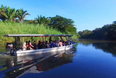 Costa Rican Wildlife: Palo Verde National Park Private Tour Costa Rican Wildlife: Palo Verde National Park Private Tour