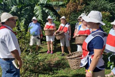 Llanos del Cortez Waterfall and Coffee Tour from Guanacaste Llanos del Cortez Waterfall and Coffee Tour from Guanacaste