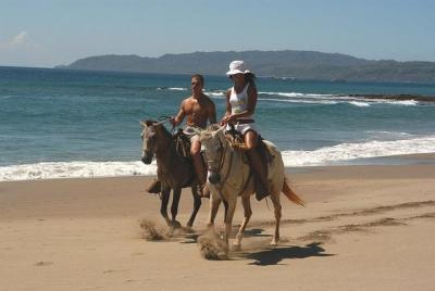 Horseback Riding Jungle and Beach in Playa Flamingo Horseback Riding Jungle and Beach in Playa Flamingo